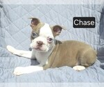 Image preview for Ad Listing. Nickname: Chase