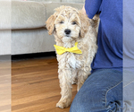 Image preview for Ad Listing. Nickname: Georgia Belle