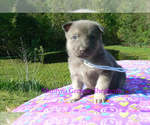 Image preview for Ad Listing. Nickname: Saltwater Breez