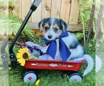 Image preview for Ad Listing. Nickname: Jake