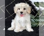 Image preview for Ad Listing. Nickname: EMMY LOU