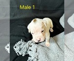 Image preview for Ad Listing. Nickname: Male 1