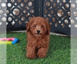 Image preview for Ad Listing. Nickname: Darla