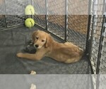 Image preview for Ad Listing. Nickname: Fiona