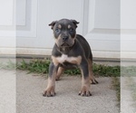 Image preview for Ad Listing. Nickname: Duce