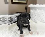 Image preview for Ad Listing. Nickname: Athena
