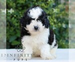 Image preview for Ad Listing. Nickname: Remmie