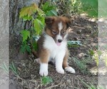 Image preview for Ad Listing. Nickname: Sally