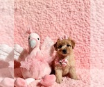 Image preview for Ad Listing. Nickname: Tiffany toy F