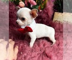 Image preview for Ad Listing. Nickname: PEANUT