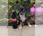 Image preview for Ad Listing. Nickname: Freida