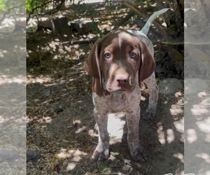 Medium Pointer