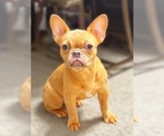 Image preview for Ad Listing. Nickname: Honeycomb