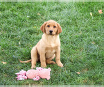 Image preview for Ad Listing. Nickname: Cristina
