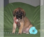 Image preview for Ad Listing. Nickname: George
