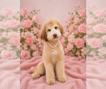 Image preview for Ad Listing. Nickname: BRANDY