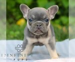 Image preview for Ad Listing. Nickname: Karter