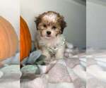 Image preview for Ad Listing. Nickname: Clover