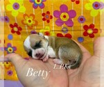 Image preview for Ad Listing. Nickname: Tiny Betty