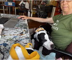 Small #6 American Staffordshire Terrier Mix