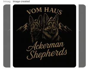 German Shepherd Dog Puppy for Sale in BRIGHTON, Colorado USA