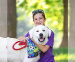 Small #1 Great Pyrenees Mix