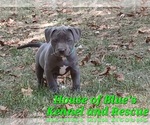 Image preview for Ad Listing. Nickname: Green Male