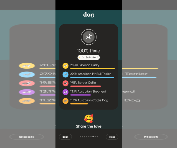 Medium Photo #5 Border Collie-Unknown Mix Puppy For Sale in Chinook, MT, USA