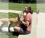 Small #7 Labrador Retriever Mix