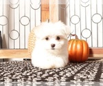 Image preview for Ad Listing. Nickname: Kelly
