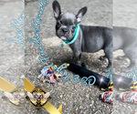 Image preview for Ad Listing. Nickname: Lilo