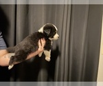  - Photo #6