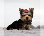 Image preview for Ad Listing. Nickname: Avery