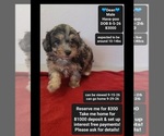 Image preview for Ad Listing. Nickname: Dean