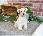 Image preview for Ad Listing. Nickname: Charles
