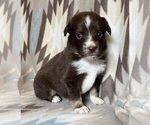 Image preview for Ad Listing. Nickname: Red Tri F