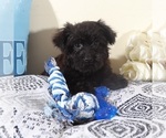 Image preview for Ad Listing. Nickname: Earl
