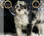 Image preview for Ad Listing. Nickname: Andie F1B