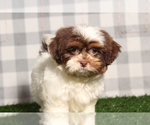 Image preview for Ad Listing. Nickname: Rock