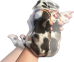 Small Photo #7 Great Dane Puppy For Sale in WILLIS, TX, USA
