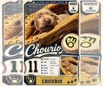 Image preview for Ad Listing. Nickname: Litter of 8