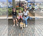 Small Photo #3 Pomeranian Puppy For Sale in Sanford, FL, USA