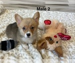 Image preview for Ad Listing. Nickname: Jack