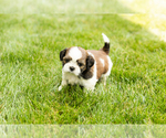 Image preview for Ad Listing. Nickname: Gunner