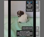 Image preview for Ad Listing. Nickname: Zion