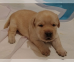 Image preview for Ad Listing. Nickname: Mandy