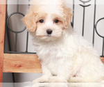 Image preview for Ad Listing. Nickname: Meadow