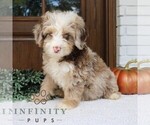 Image preview for Ad Listing. Nickname: Brook
