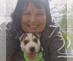 Small #25 Siberian Husky Mix