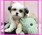Image preview for Ad Listing. Nickname: Ivy